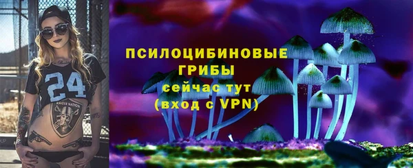 PSILOCYBIN Беломорск